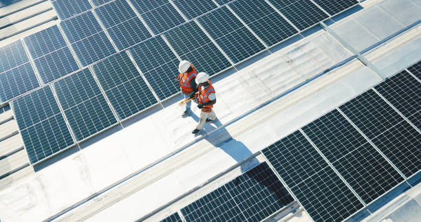 Best Roof Maintenance and Cleaning  in Newberry, MI